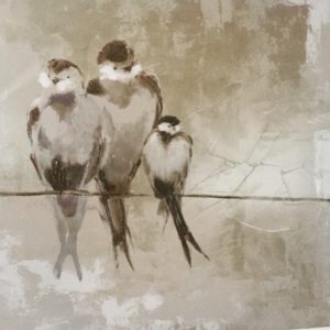bird family
